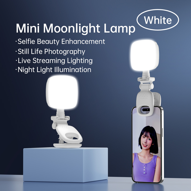 Lighting Visual - Draagbare LED Selfie Light Camera Mini